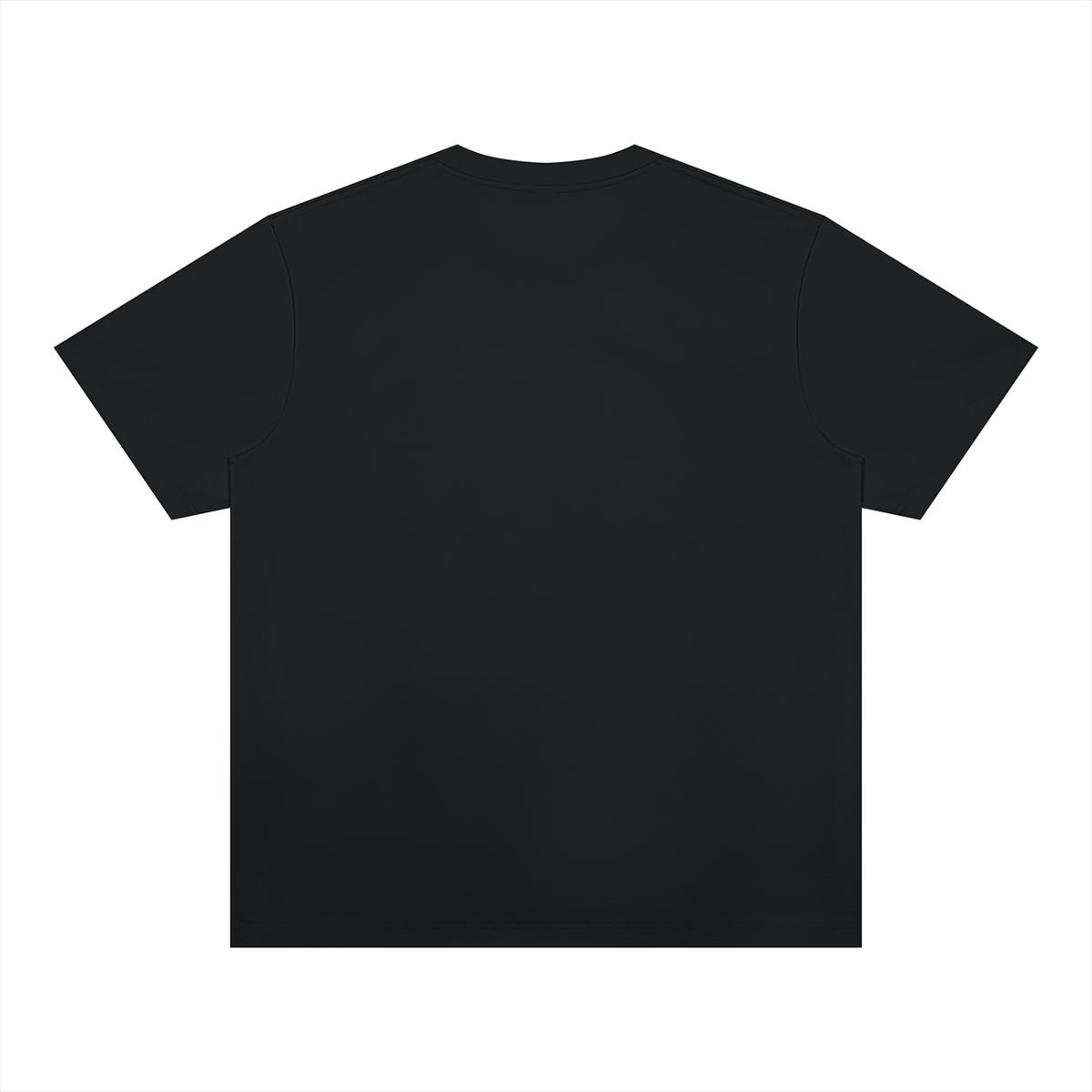 Unisex Heavyweight Sorona T-Shirt